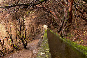 Full-Day Rabaçal Levada Walk from Funchal