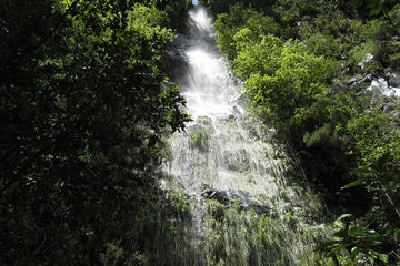 Hidden Corners: Levada Walk from Funchal