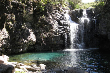 Lakes of Madeira Levada Walk from Funchal