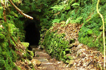 Levada do Caldeirão Verde Levada Walk from Funchal