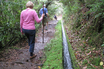Levada Walk from Ribeiro Frio to Portela