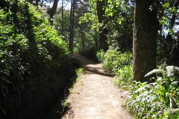 Paradise Valley - Levada Walk
