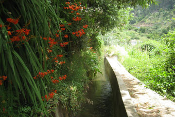 Serra D'Água Valley - Levada Walk
