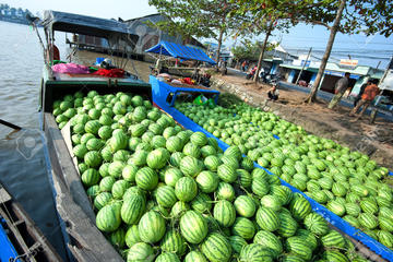 Mekong Delta Discovery Small Group Tour
