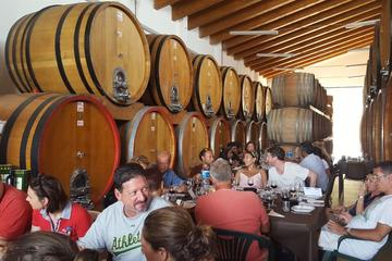 ETNA WINE FROM MESSINA