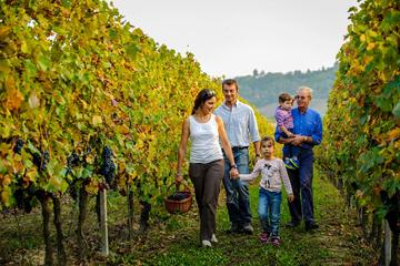 Messina Winery and Beach Tour