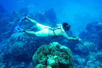 Cozumel Snorkeling Tour from Cancun and Riviera Maya