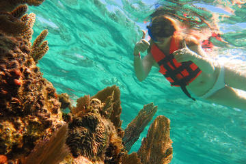 Full-Day Snorkeling Adventure from Cancun and Riviera Maya