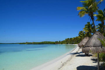 Paradise Islands Tour: Isla Contoy and Isla Mujeres