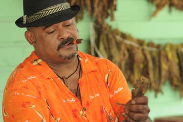 Punta Cana Authentic and Traditional tour