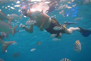 Punta Nizuc Snorkeling Experience in Cancun