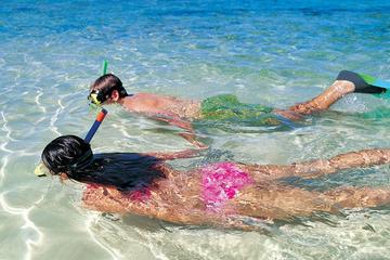 Snorkeling Discovery Cruise with Lunch in Los Cabos