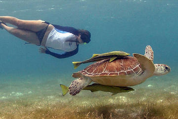 Tulum Ruins and Akumal Turtles Combo Tour