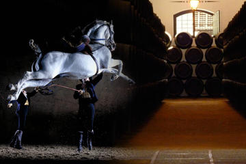 Jerez Historic Guided Tour with Horse Show and Winery Visit