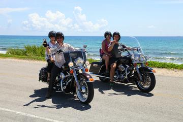 Cozumel Sightseeing Tour Aboard a Harley-Davidson or KTM 1290