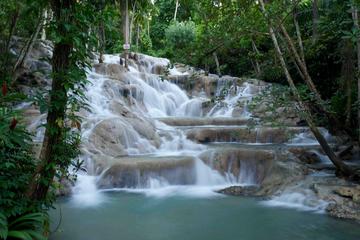 Ocho Rios Shore Excursion: Private Dunn's River Falls Tour