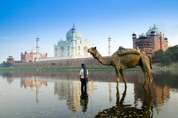 Agra City Tour Including Lunch And Monument Entry Fee