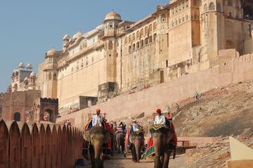 Jaipur City Tour Including Lunch and Monument Entry Fee