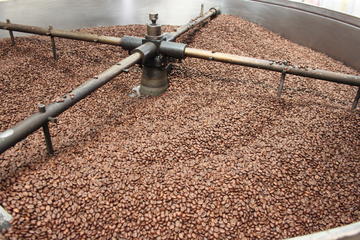 Coffee Tour in Hacienda Coloma in Fusagasugá from Bogotá