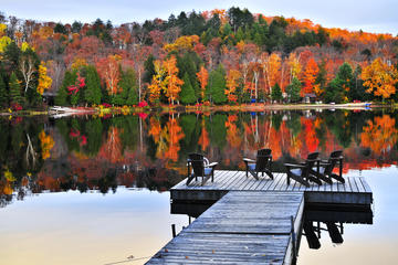3-Day Beaver Tour in Algonquin Park