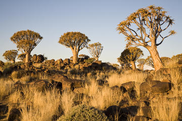 14-Day Namibia Highlights from Windhoek