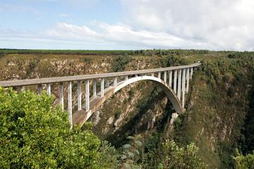 4-Day Garden Route: Port Elizabeth to Cape Town via Klein Karoo