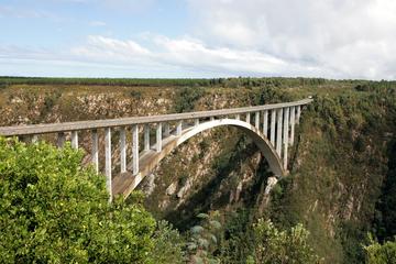 5-Day Garden Route Glory Tour: Port Elizabeth to Cape Town