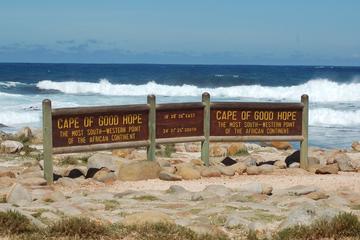 Cape Town Shore Excursion: Cape Peninsula Tour