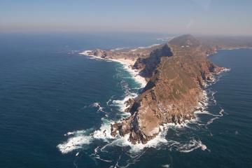 Cape Town Shore Excursion: Cape Point Tour