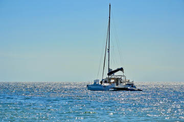 Dolphin and Seal Catamaran Cruise from Walvis Bay