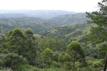 Durban Shore Excursion: Valley of 1000 Hills and PheZulu Tour