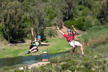 Port Elizabeth Shore Excursion: Addo Zipline Tour and Giant Swing Experience