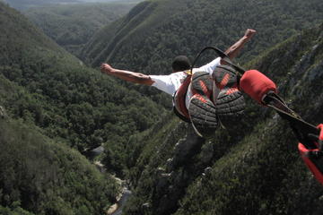 Port Elizabeth Shore Excursion: Bloukrans Bungee Jump
