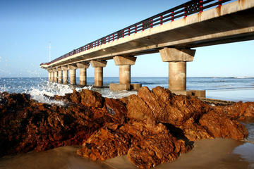 Port Elizabeth Shore Excursion: Half Day City Tour including SAMREC