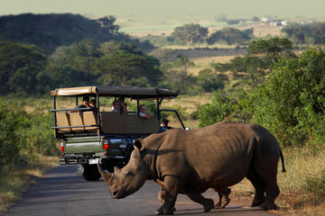 Richards Bay Shore Excursion: Hluhluwe Safari