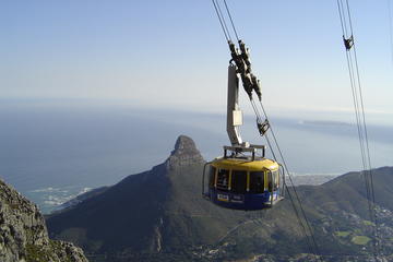 Table Mountain and Cape Town Half-Day Trip