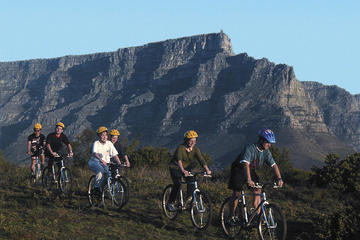 Table Mountain Bike Tour from Cape Town