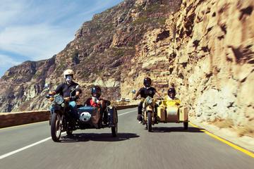 Vintage Sidecar Whale and Dolphin Route Experience from Cape Town