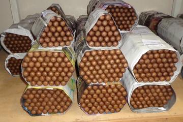 Tobacco Tour from Managua