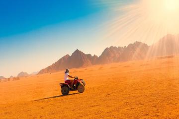 3-HOUR MORNING QUAD SAFARI - AL AHYAA