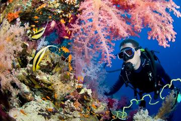 FULL DAY SCUBA DIVING IN HURGHADA