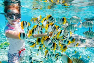 Full-Day Snorkeling Trip at Giftun Island from Hurghada