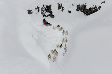 Dogsledding day in Ilulissat