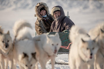 Dogsledding Trip in Ilulissat