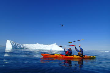 Kayaking Morning Tour in Ilulissat