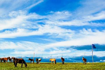 8-Day Tour: Taste of Mongolia