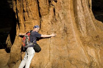 Muir Woods Expedition Tour