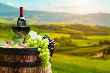 Istra Wine Tour from Pula