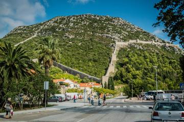 Peljesac Peninsula Private Wine Tour from Dubrovnik