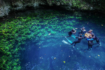 Freediving Discovery